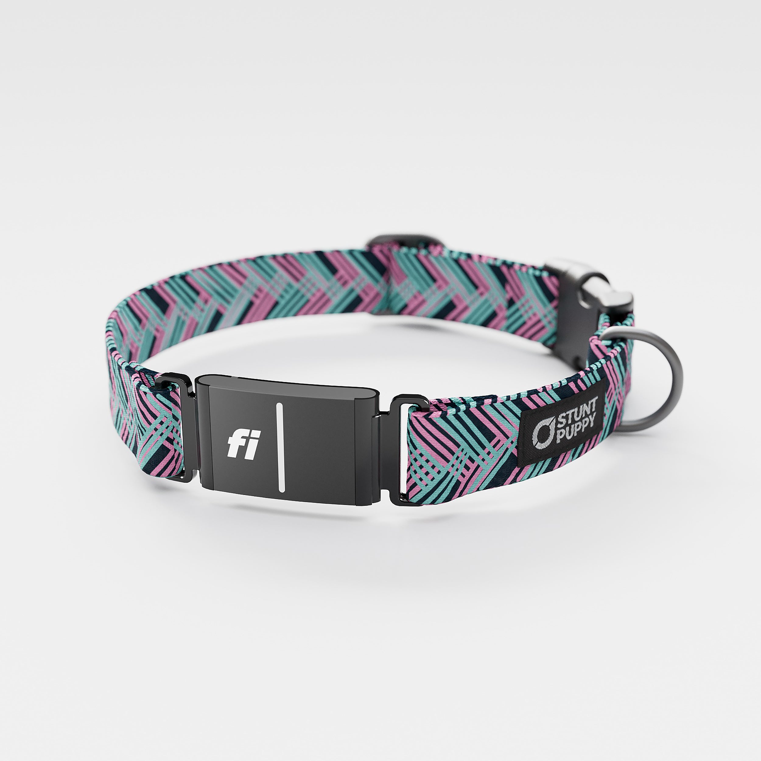 Dog shops collars 2019