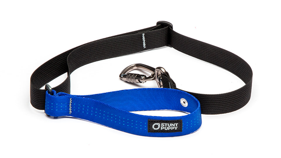 Blue puppy hot sale collar and lead