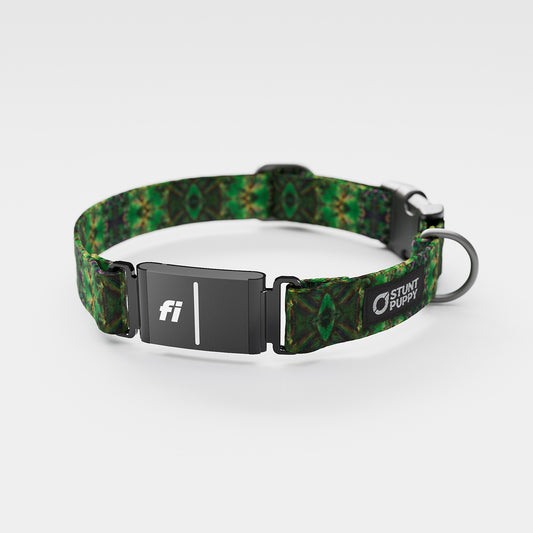 Fi-Ready Jammin Hugo Pat Everyday Collar