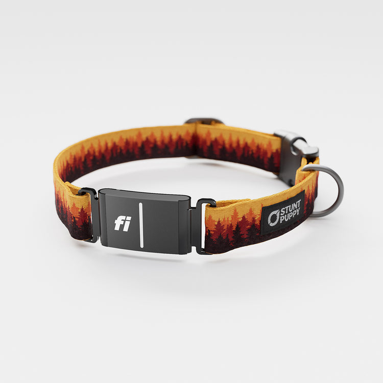 Fi Compatible Pines Orange Pattern Collar | Dog Collar – Stunt Puppy