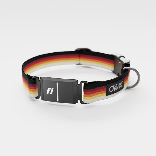 Fi-Ready Sunset Everyday Collar