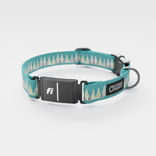 Fi-Ready Holiday Forest Everyday Collar