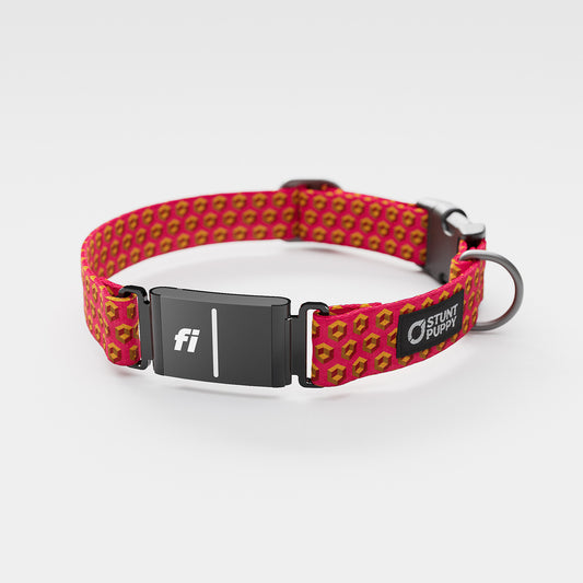 Fi-Ready Cubular Orange Everyday Collar