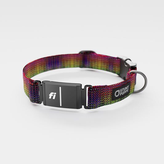 Fi-Ready Jammin Dragon Skin Everyday Collar