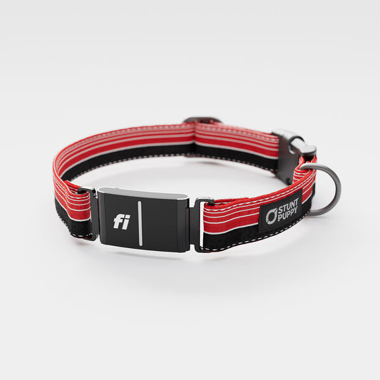 Fi-Ready Horizon Everyday Collar