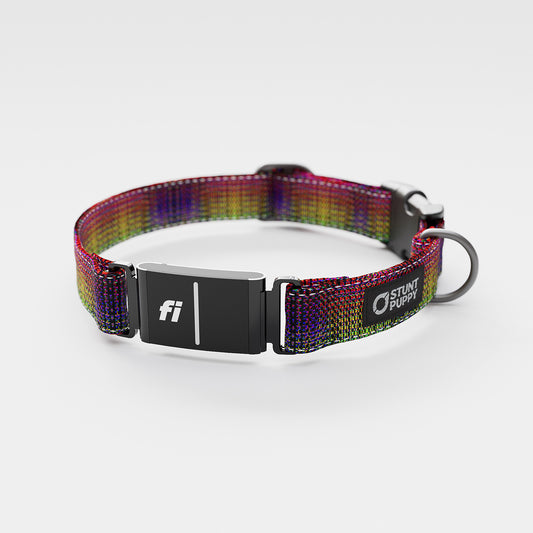 Fi-Ready Jammin Dragon Skin Everyday Collar