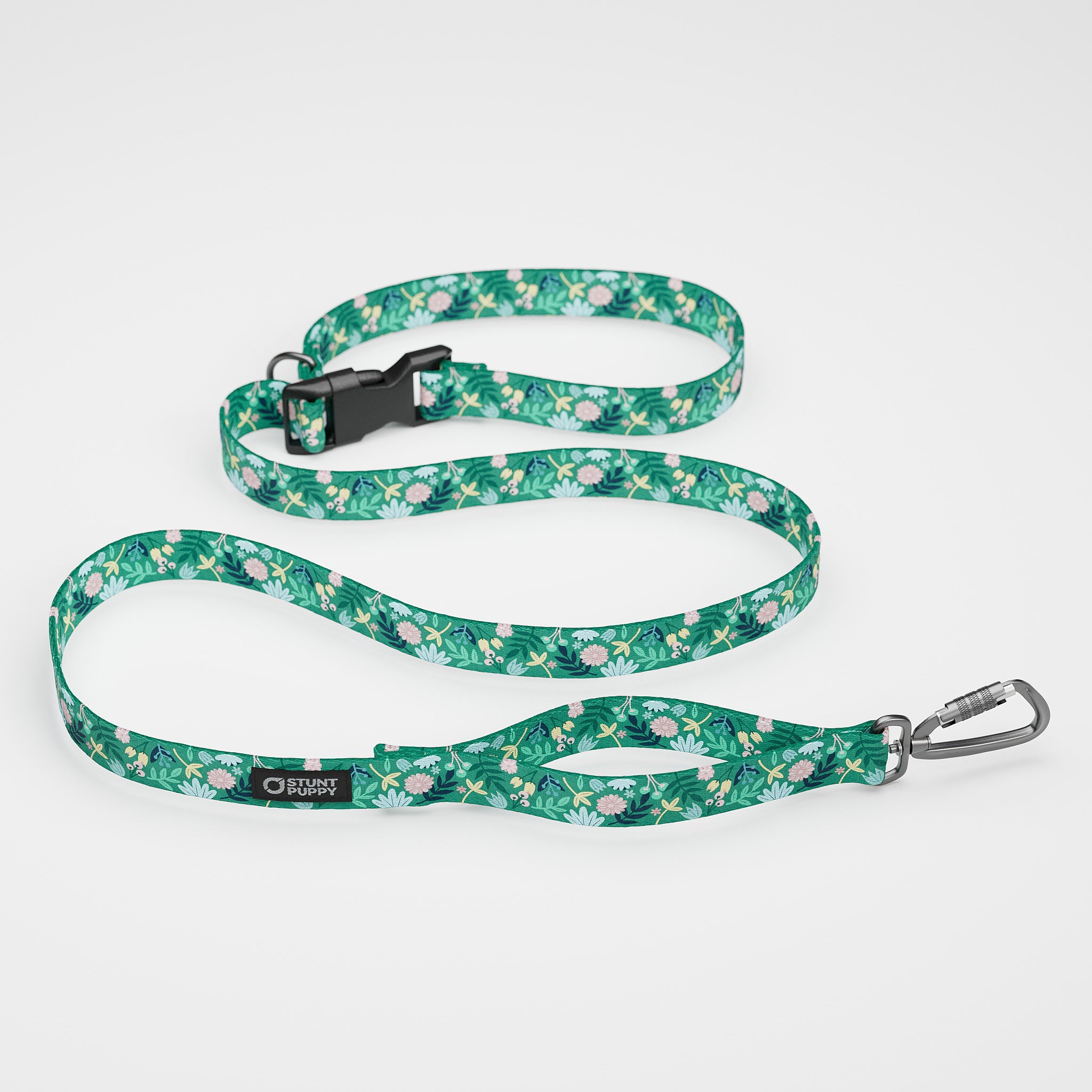 Frolic Spring Everyday Leash™ – Stunt Puppy