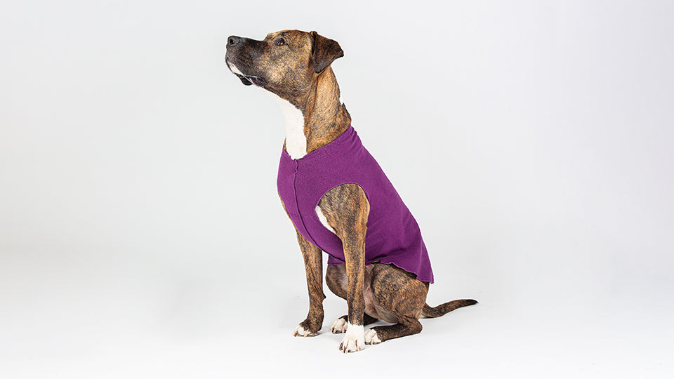 Stretch fleece dog store sweater