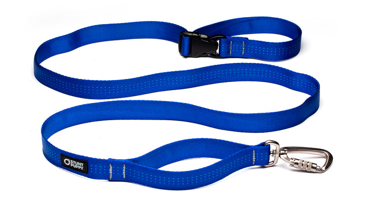 Classic Everyday Leash™ – Stunt Puppy