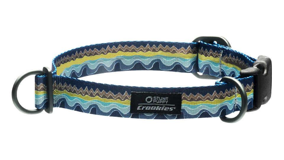 Silverfoot martingale clearance dog collar