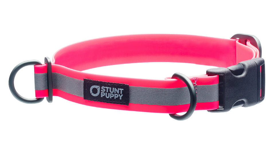 Pink collar for clearance puppy