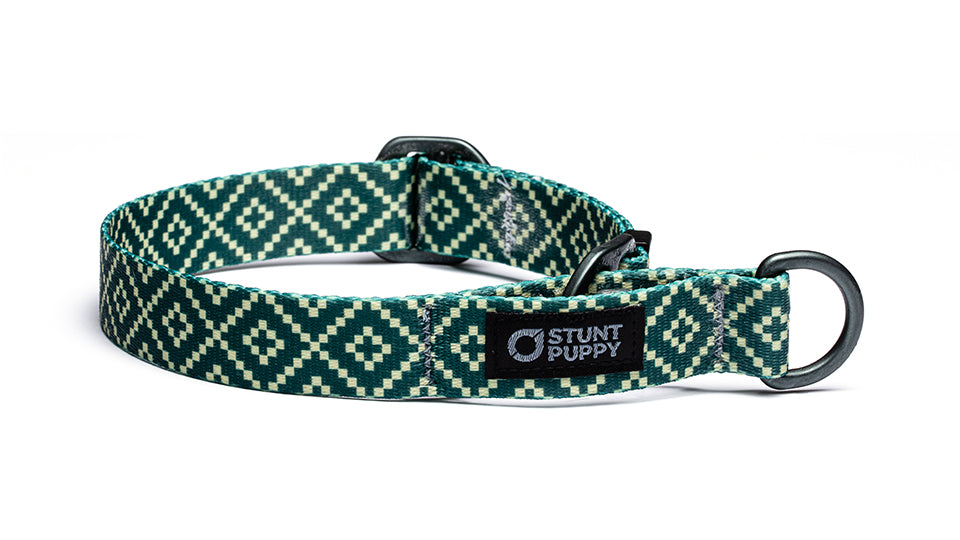 Martingale dog sale collar with buckle